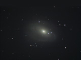 M81 bodes galaxy